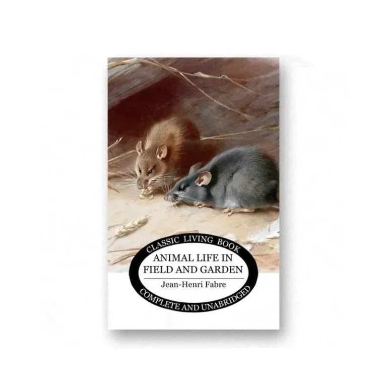 Animal Life in Field and Garden