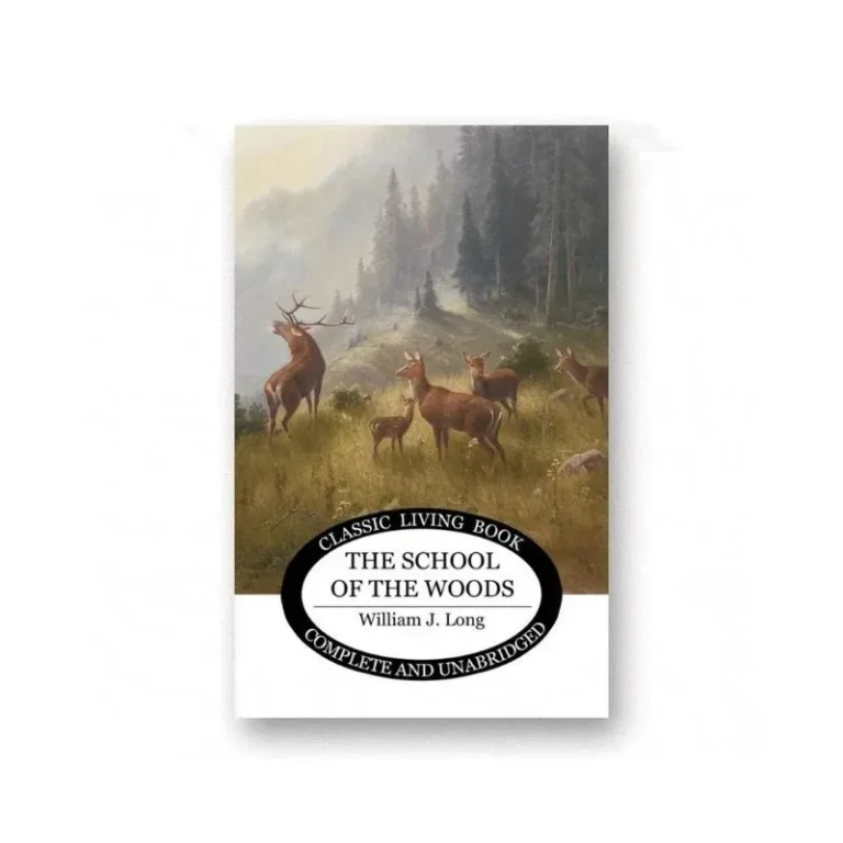 The School of the Woods