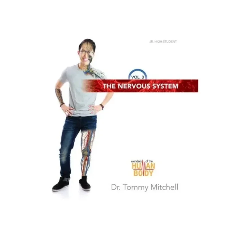 Nervous System Vol 3
