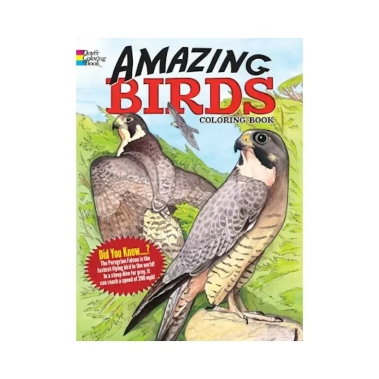 Amazing Birds