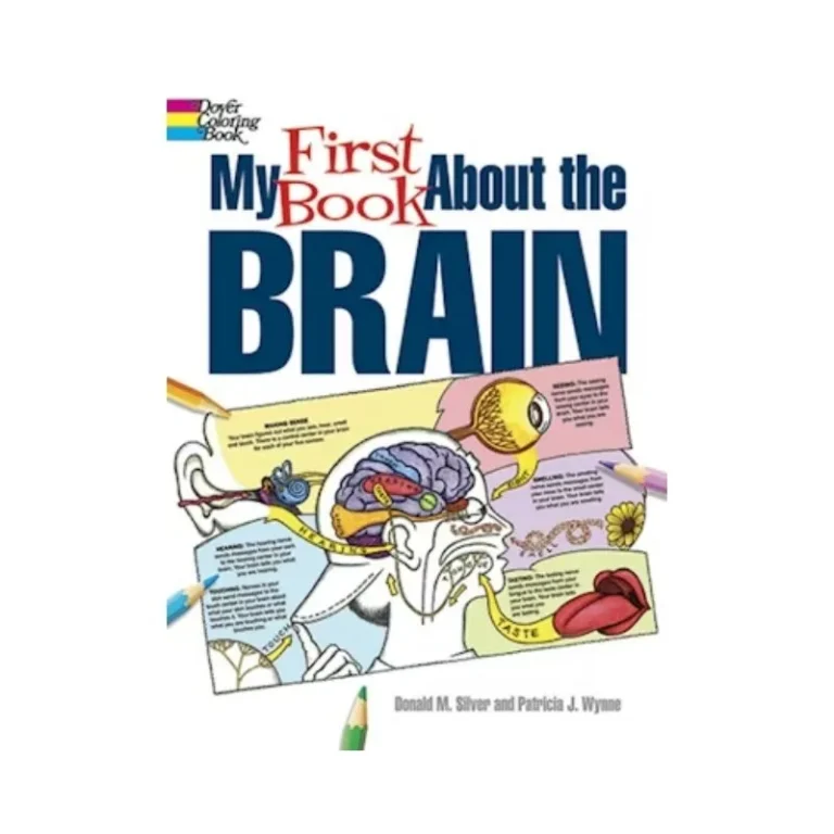 First Book about the Brain