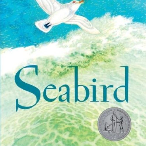 Seabird
