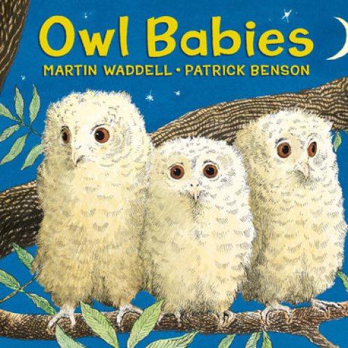Owl Babies