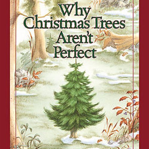 Why Christmas Trees Aren’t Perfect