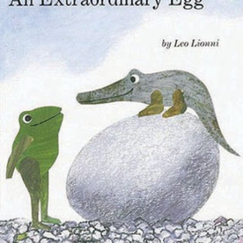 An Extraordinary Egg