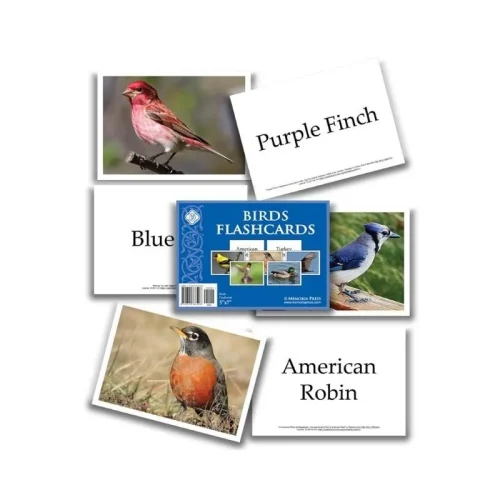 Birds Flashcards