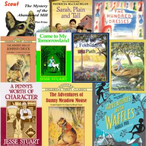 Clear the Confusion about Chapter Books