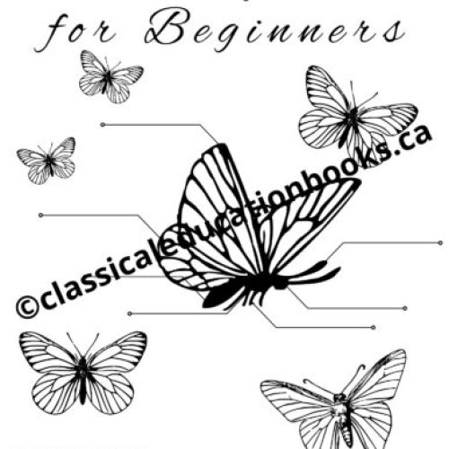 Butterflies for Beginners
