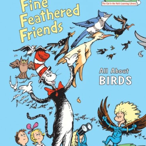 Fine Feathered Friends