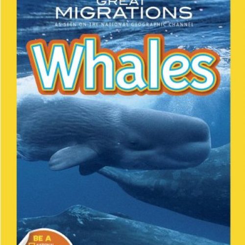Great Migrations: Whales