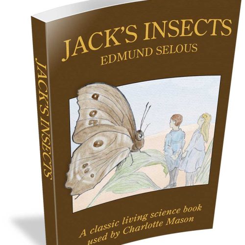 Jack’s Insects
