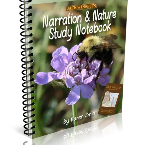 Jack’s Insects Narration & Nature Study Notebook