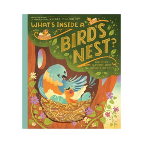 What’s Inside a Bird’s Nest?