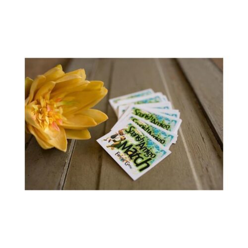 Spanish Amigo Match 1 Flashcard Game