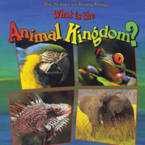 What is the Animal Kingdom?