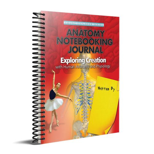 Exploring Creation with Human Anatomy and Physiology – Notebooking Journal