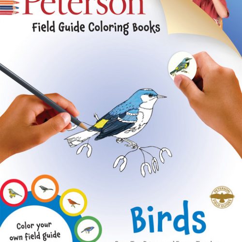 Peterson Field Guide Coloring Books: Birds