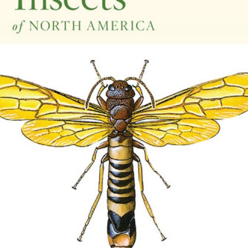 Peterson First Guide to Insects of North America