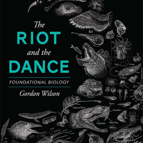 The Riot and the Dance: Foundational Biology