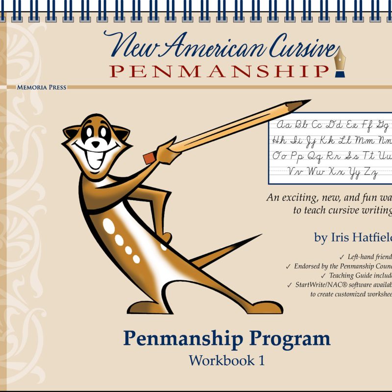 New American Cursive 1