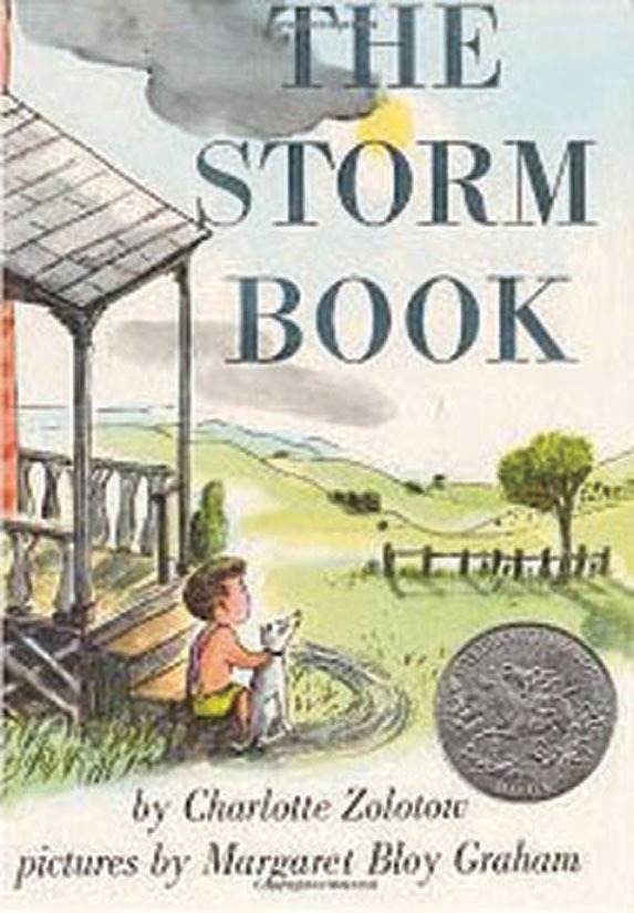 The Storm Book