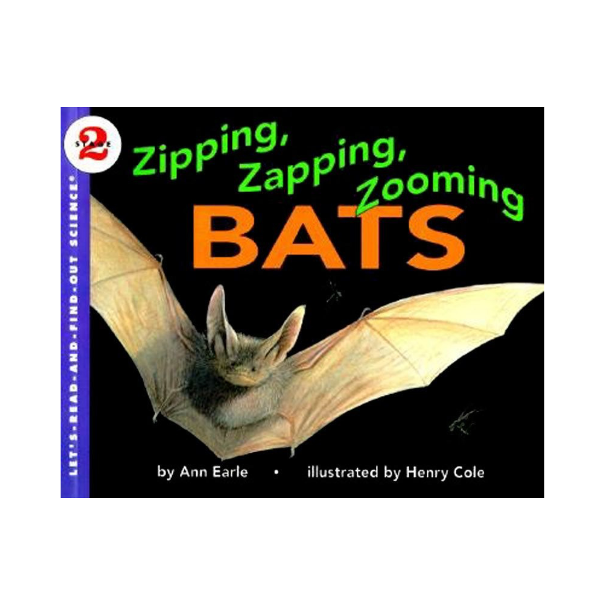 Zipping, Zapping, Zooming Bats
