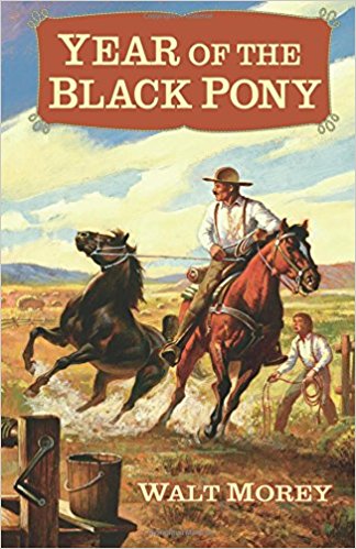 Year of the Black Pony