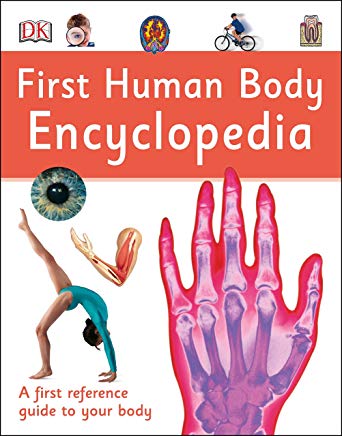 DK First Human Body Encyclopedia