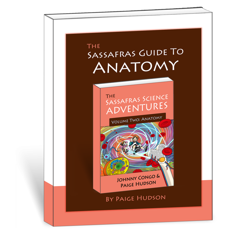 The Sassafras Guide to Anatomy
