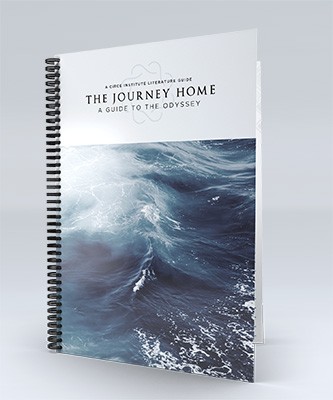 The Journey Home - A Guide to Homer's Odyssey