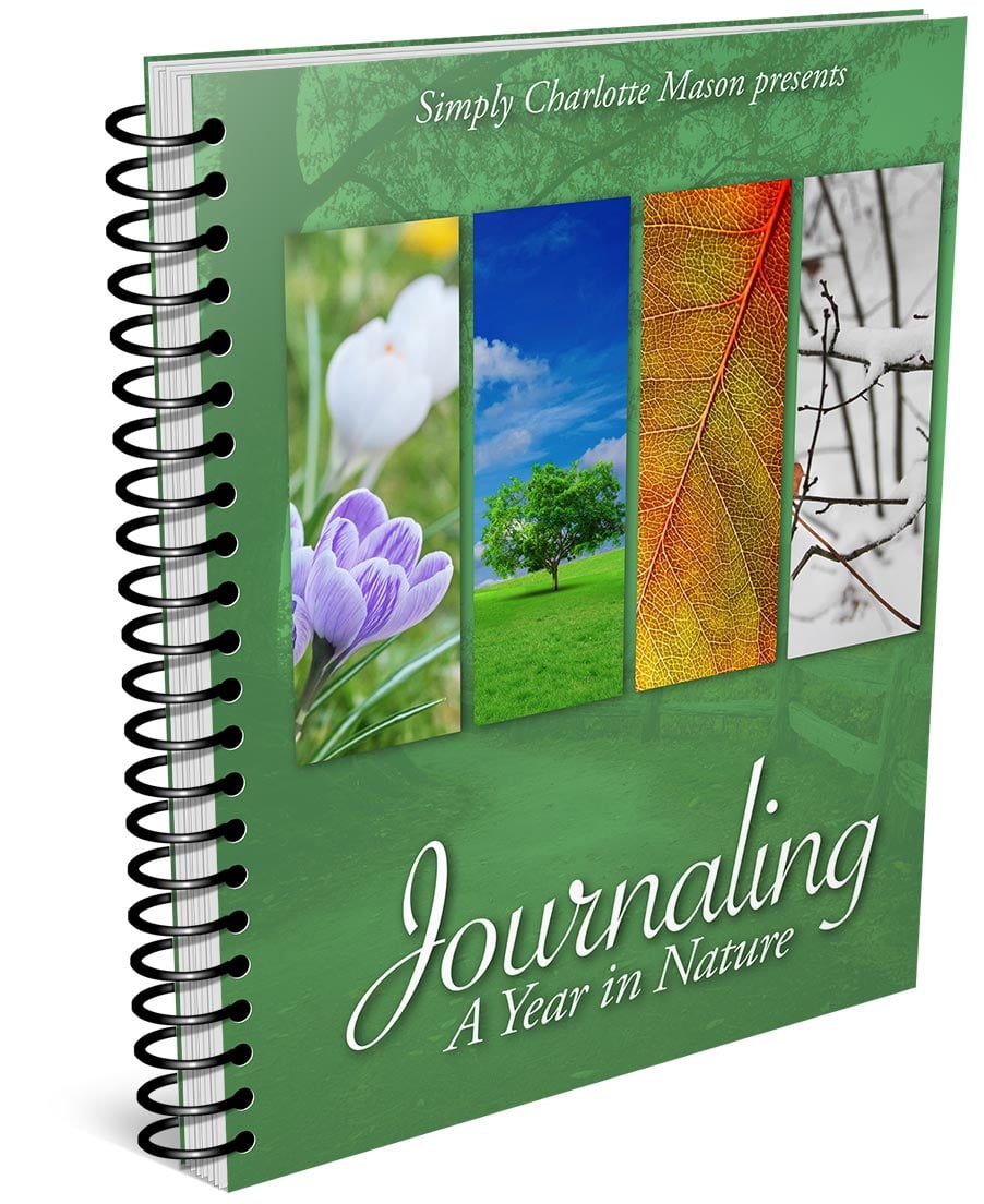 Journaling A Year in Nature