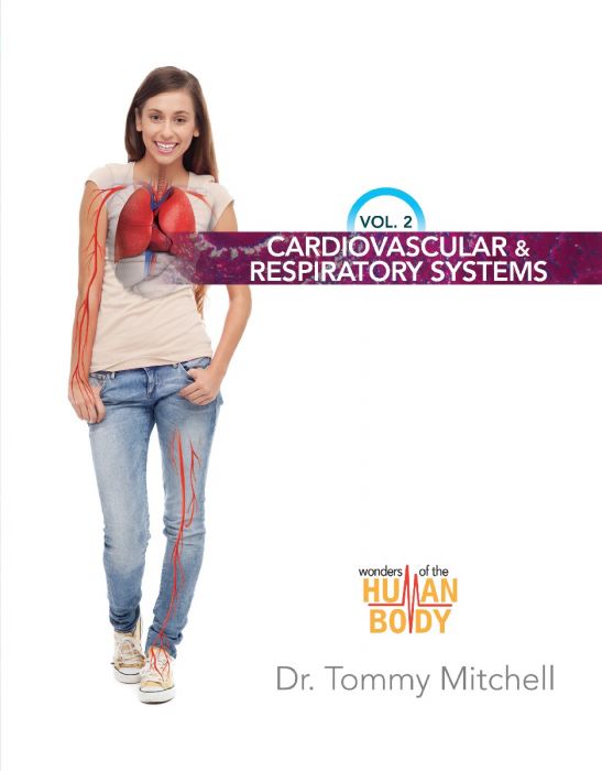 Cardiovascular & Respiratory Systems - Volume 2