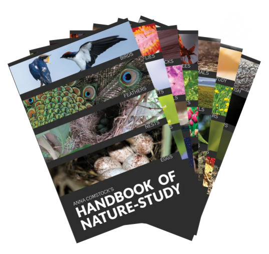 Handbook of Nature Study: Complete Series Package