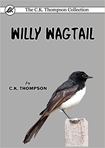 Willy Wagtail
