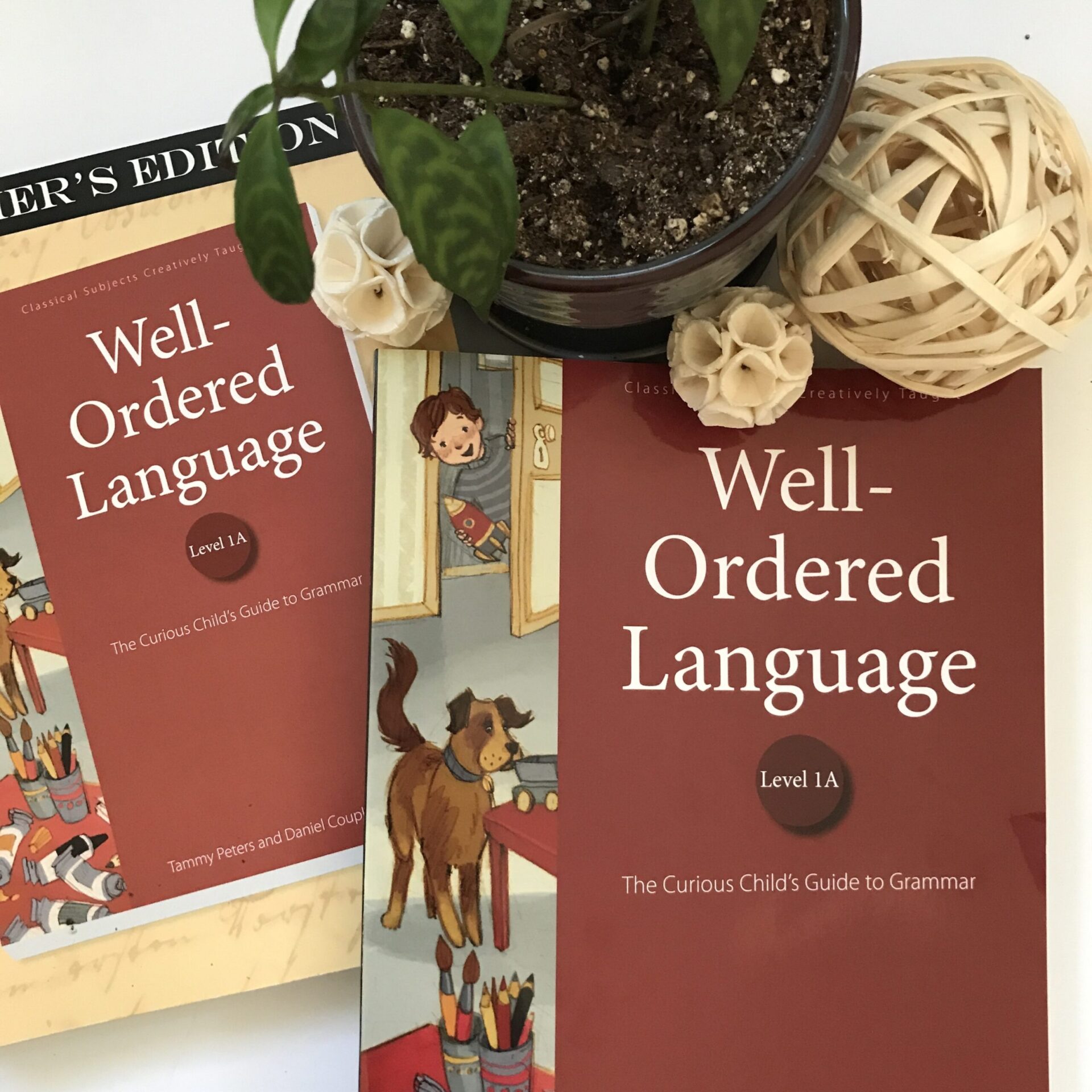 Well Ordered Language - Review