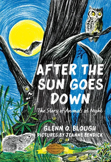 After the Sun Goes Down