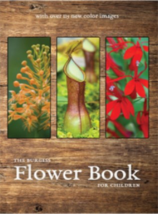 The Burgess Flower Book for Children (Colour)