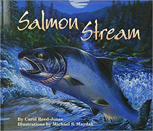 Salmon Stream