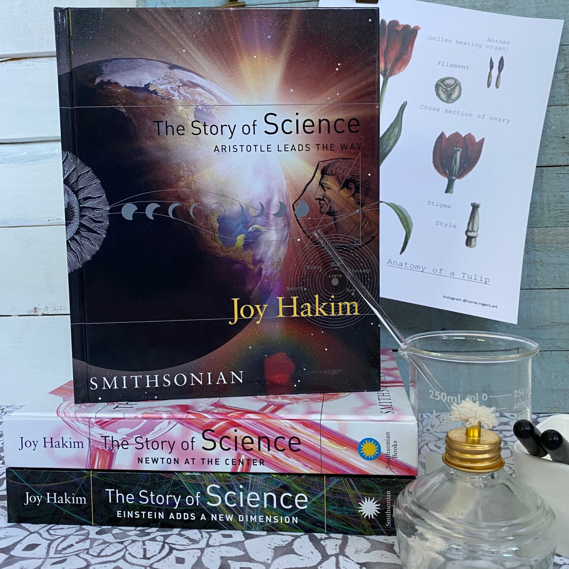 The Story of Science: Aristotle Leads the Way (Review)