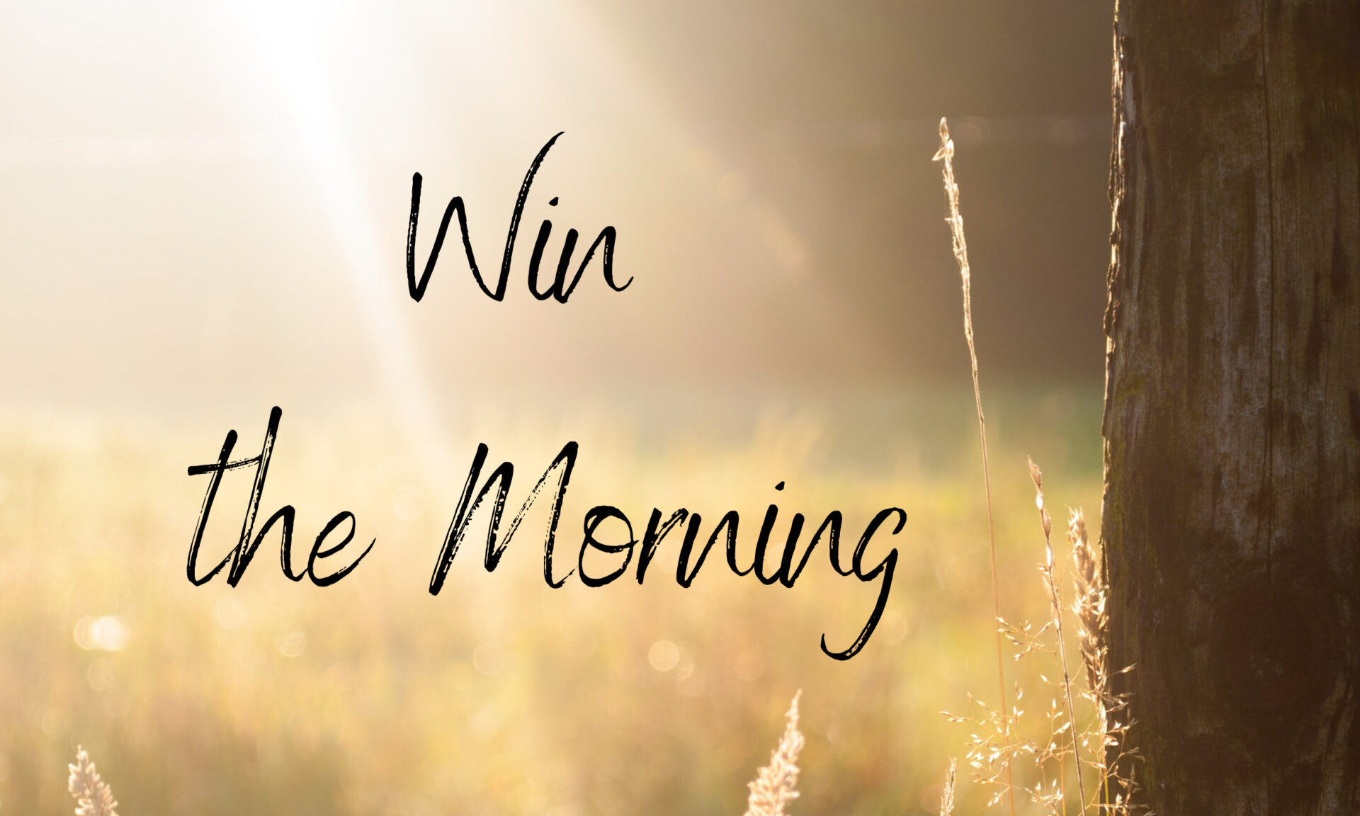 Do Mornings Well part 2