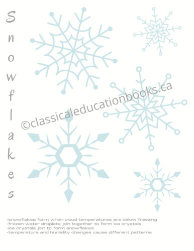 Snowflake Poster - Free Digital Download