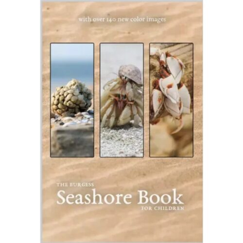 The Burgess Seashore Book (Colour)