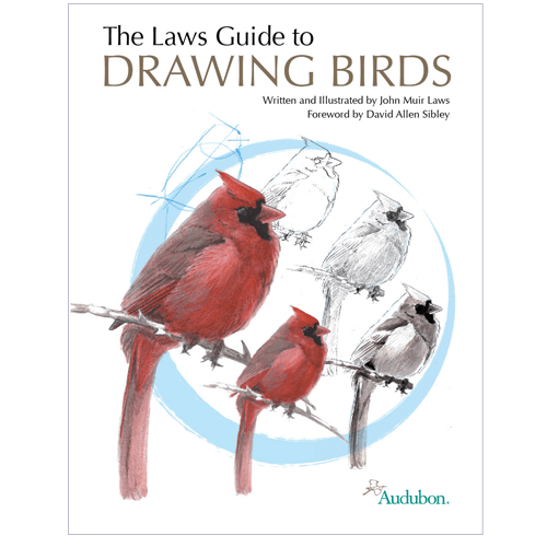 The Laws Guide to Drawing Birds