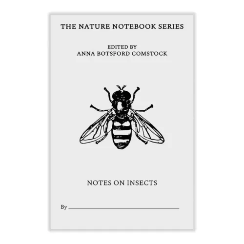 Notes on Insects