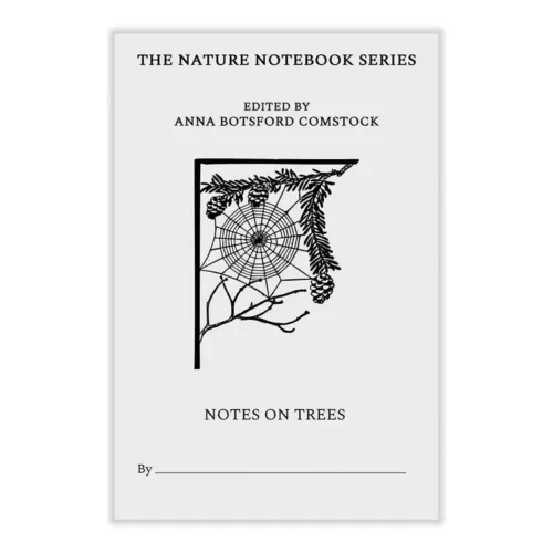 Notes on Trees
