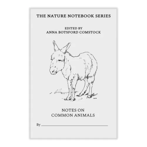 Notes on Common Animals