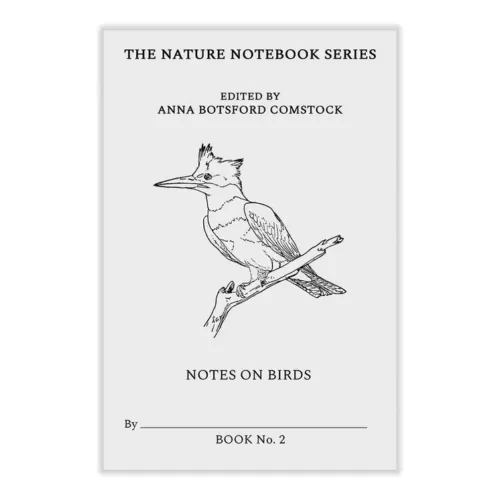 Notes on Birds 2