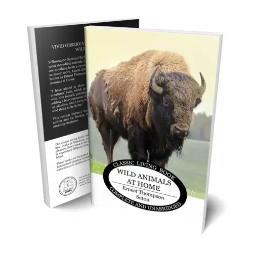 Wild Animals at Home