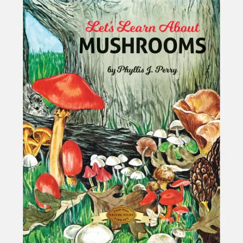 Let's Learn About Mushrooms