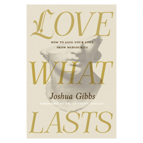 Love What Lasts: How to Save Your Soul From Mediocrity